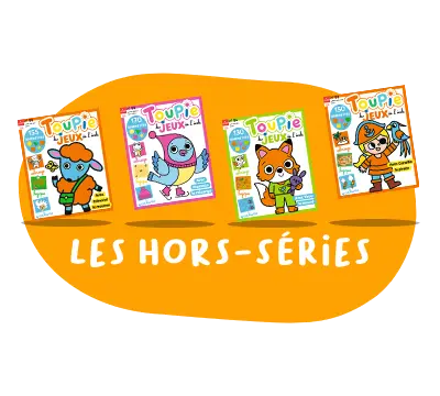 Toupie jeux - 4 numéros (22€ prélevé en une fois)