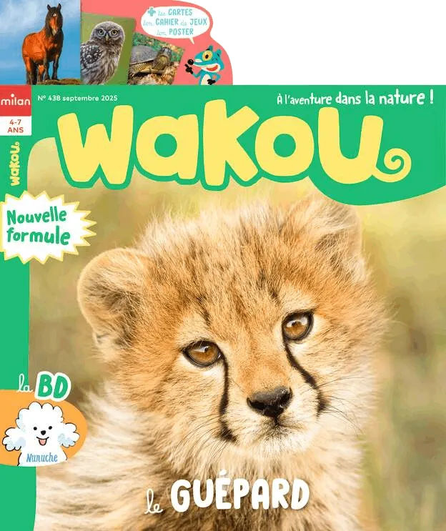 Wakou - Wakou