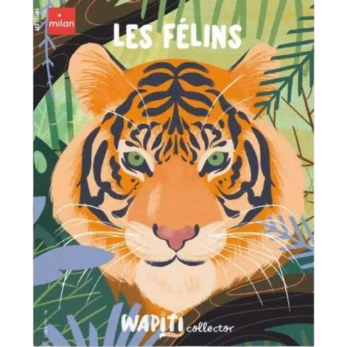 6 livres accordéons - Wapiti Collector