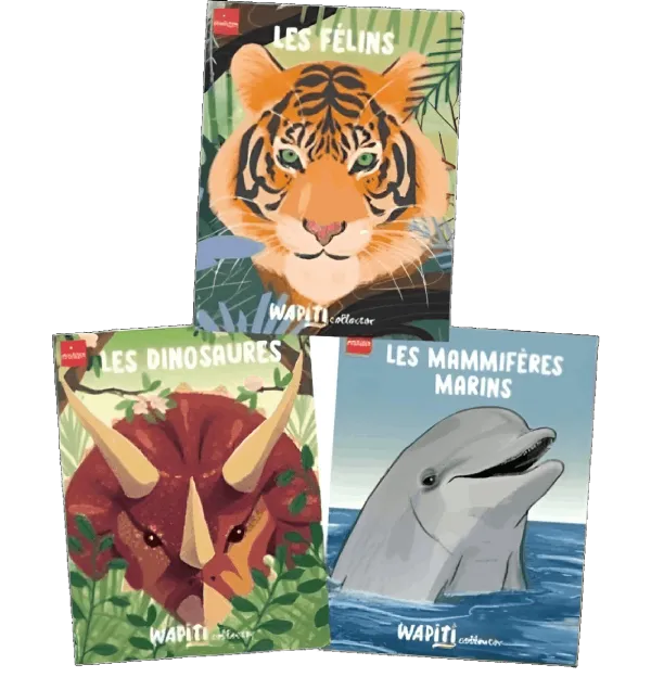 6 livres accordéons - Wapiti Collector