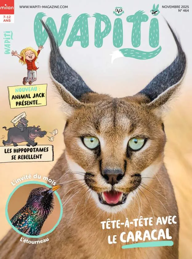 Wapiti - Wapiti