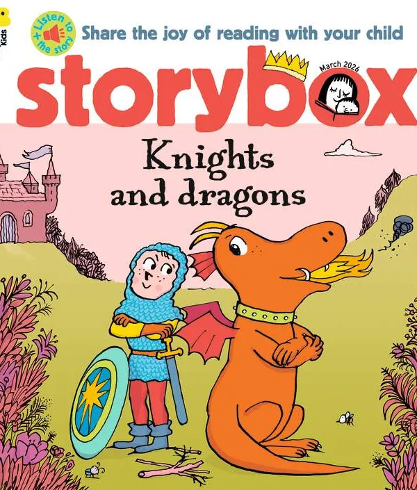Produit Story Box Image