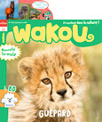 Wakou