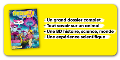 DiscoveryBox - 1 an - 10 n°