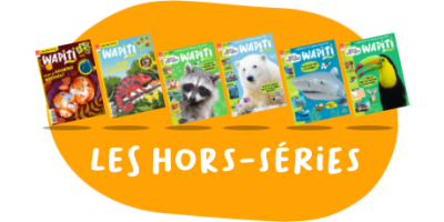 Hors-séries Découvertes - 1 an - 6 n°