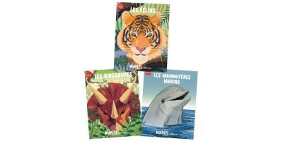 6 livres accordéons - Wapiti Collector