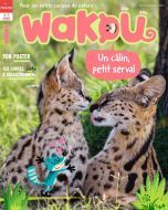 Wakou