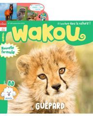 Wakou
