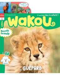 Wakou