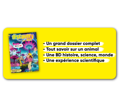 DiscoveryBox - 1 an - 10 n°