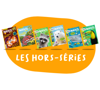 Hors-séries Découvertes - 1 an - 6 n°