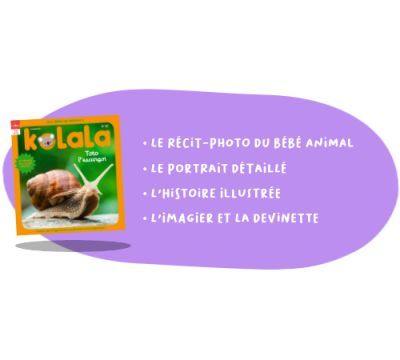 Kolala - 8 n° par an