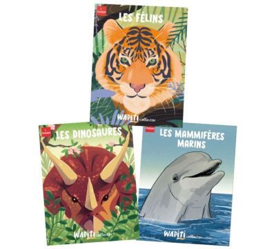 6 livres accordéons - Wapiti Collector