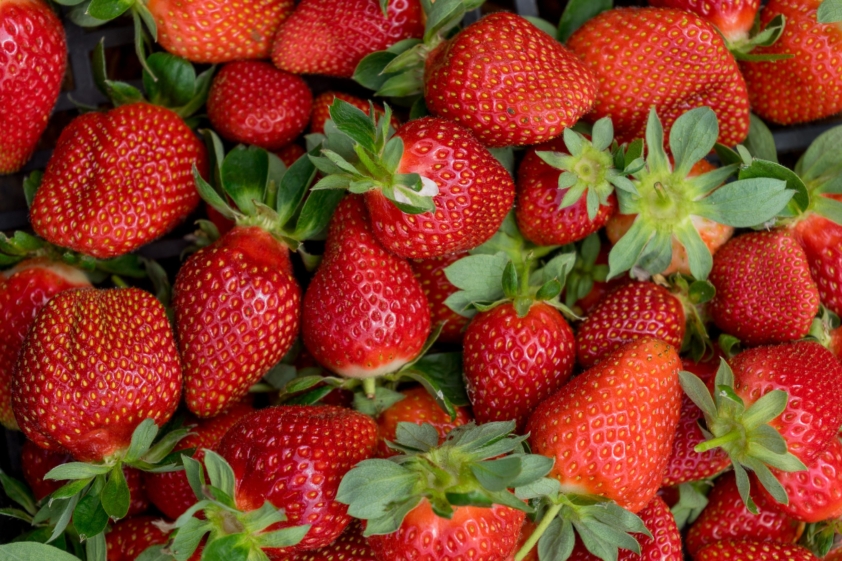 En mai c'est le moment de manger des fraises!