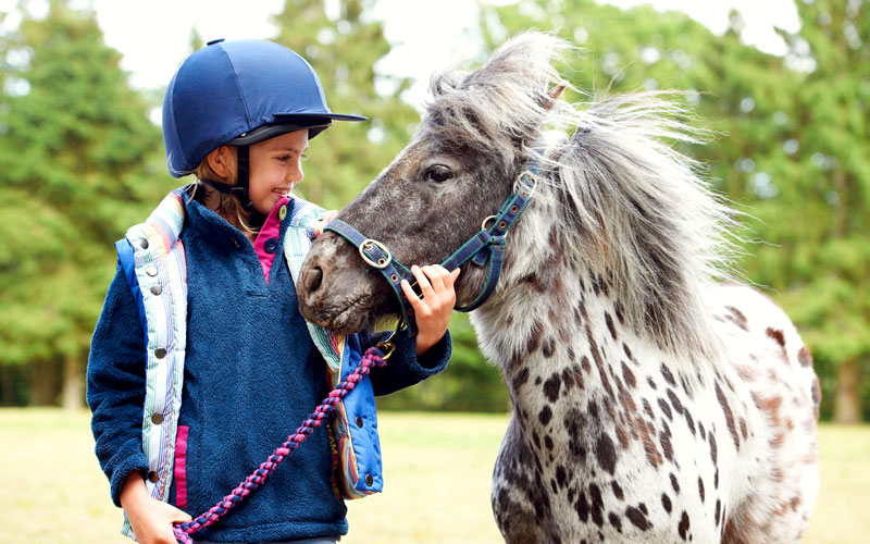 Au Salon du cheval, profite de différents ateliers ! © Adie Bush/Getty Images
