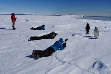 Les photographes observent les manchots en Antarctique. © Cédric Gentil.