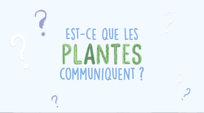 Est-ce que les plantes communiquent ?