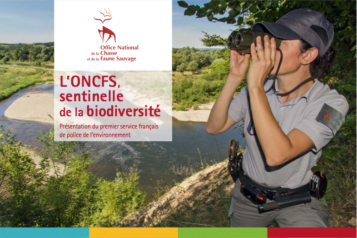 © Ph. Massit / ONCFS : surveillance de la réserve naturelle de la Moselle sauvage par un agent de l’ONCFS.