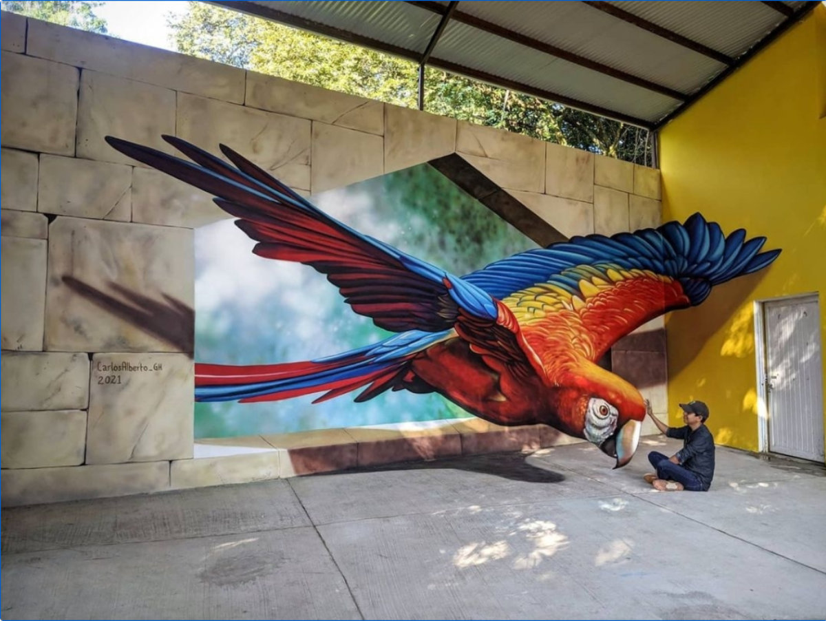 Street art : les animaux s'emparent des rues…