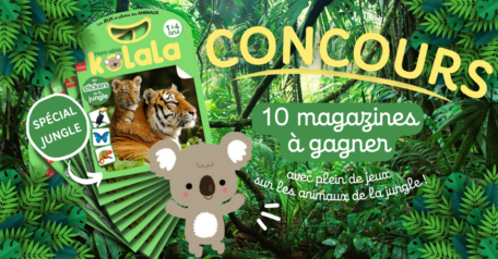 Concours Kolala hors-série animaux de la jungle