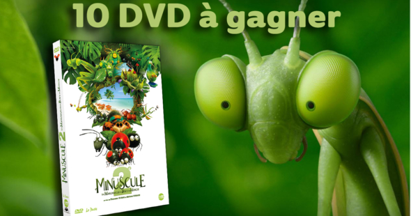 DVD Minuscule2 concours