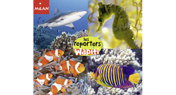 Plonge-toi dans le grand concours Reporters Wapiti & Wakou !