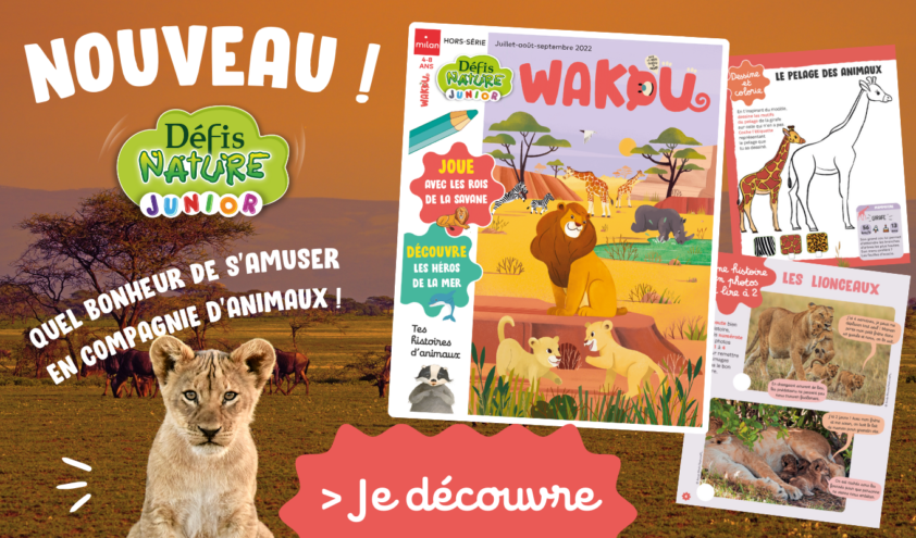 Nouveau : couverture magazine et pages Wakou hors-série défis nature junior