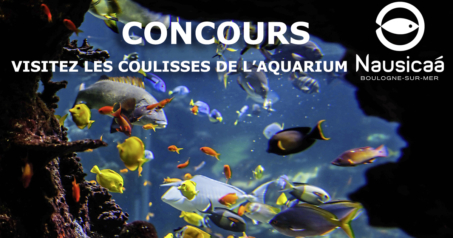 Gagnez des places pour visiter l'aquarium de Nausicaa