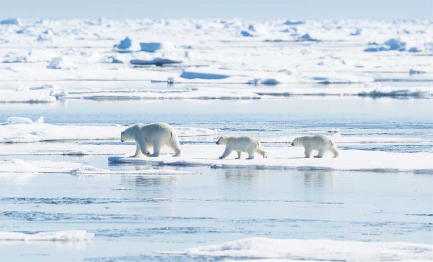 La glace fond aux deux pôles... © Raimund-Linke/GettyImages