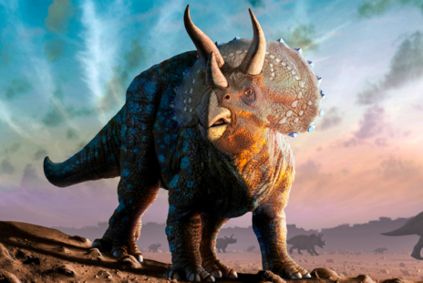 Wapiti dinosaure triceratops tyrannosaure