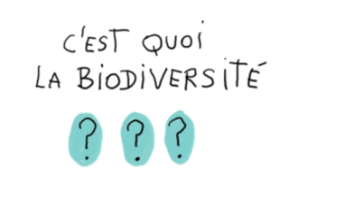 visuel C'est quoi la biodiversité ?