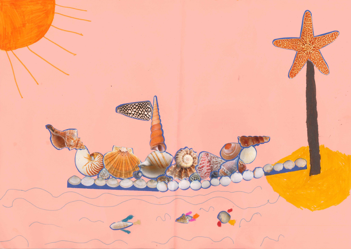 Concours Toupie, dessine un bateau en coquillages : timothy