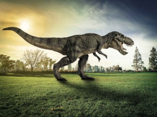 Le T-rex, l'un des plus grands prédateurs de l'histoire © iStock-para827