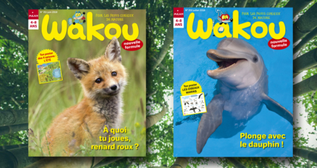 Wakou magazine nature enfant