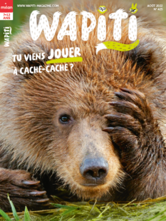Wapiti magazine 425 ours grizzly