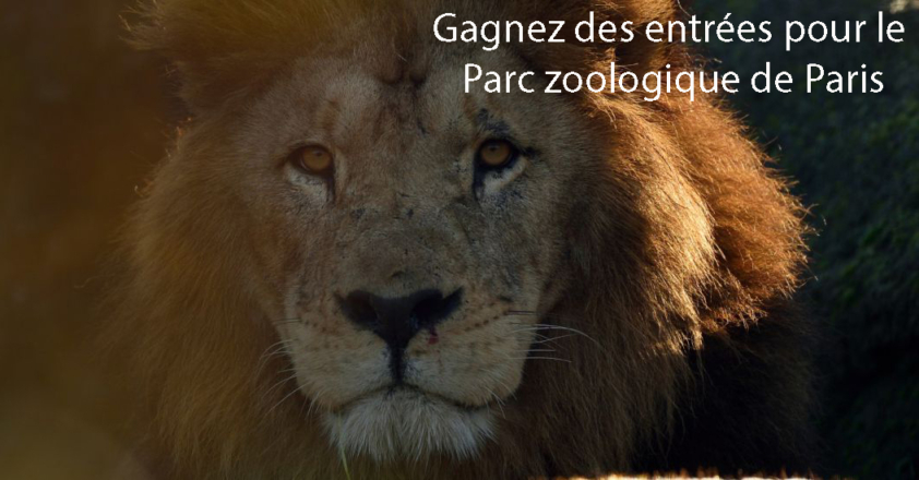 concours zoo
