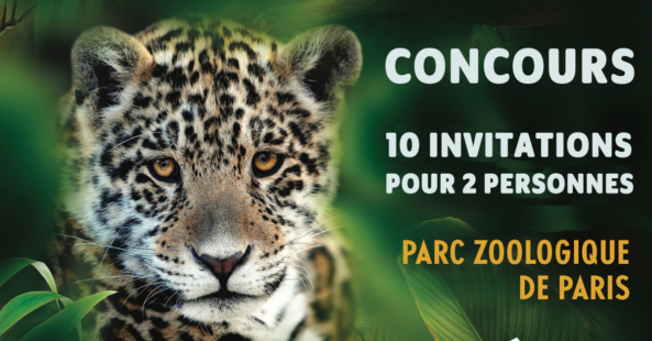concours zoo de paris