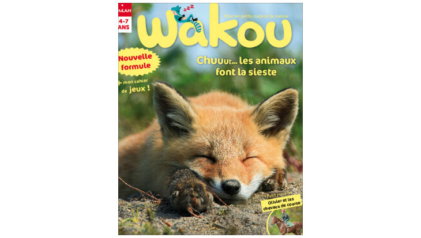 Wakou magazine : les animaux font la sieste