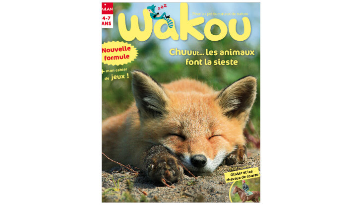 Wakou magazine : les animaux font la sieste