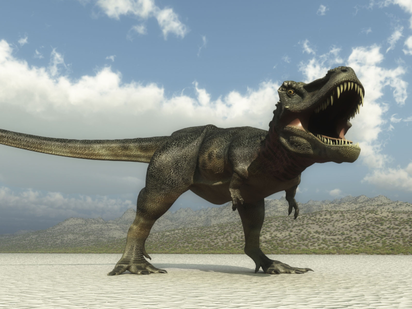 dinosaure tyrannosaure T.rex ©danku_iStock