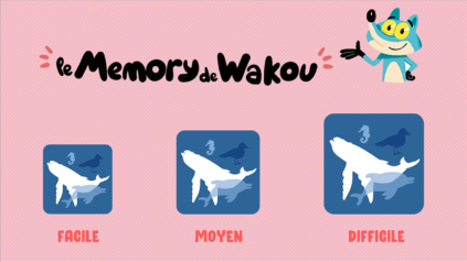 Jeu memory de la mer - Wakou magazine
