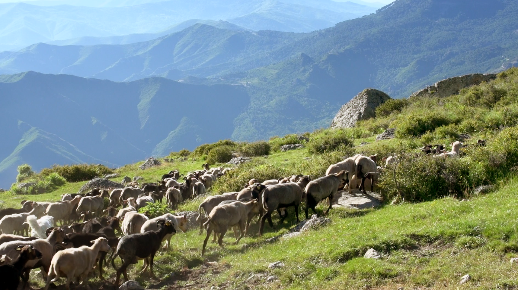 Le plus beau pays du monde sur France 2 Milan jeunesse