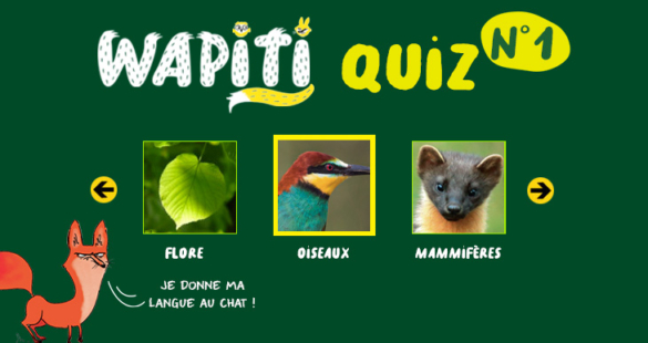 Wapiti quiz 1