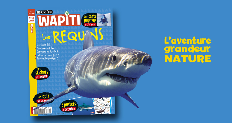 requin fiche expose wapiti