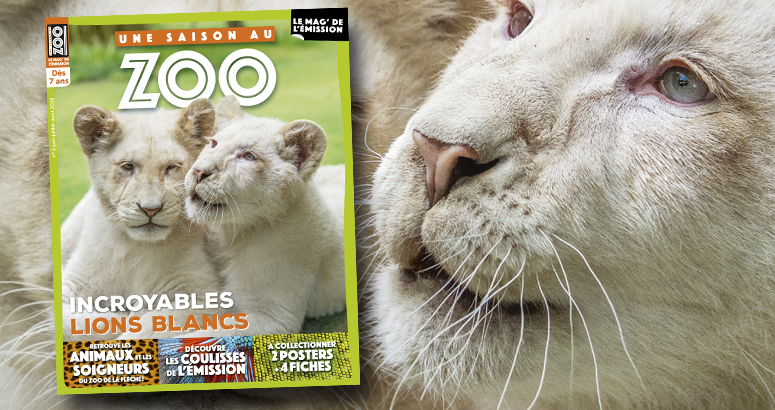 saison zoo magazine coulisse