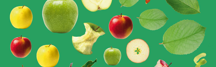 Concours autocollants "Crée ton bonhomme pomme" avec Toupie magazine