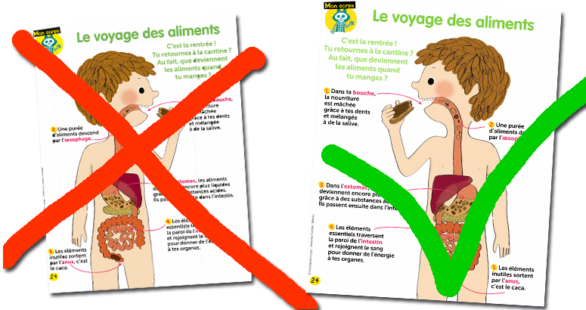 voyage aliments wakou corps humain