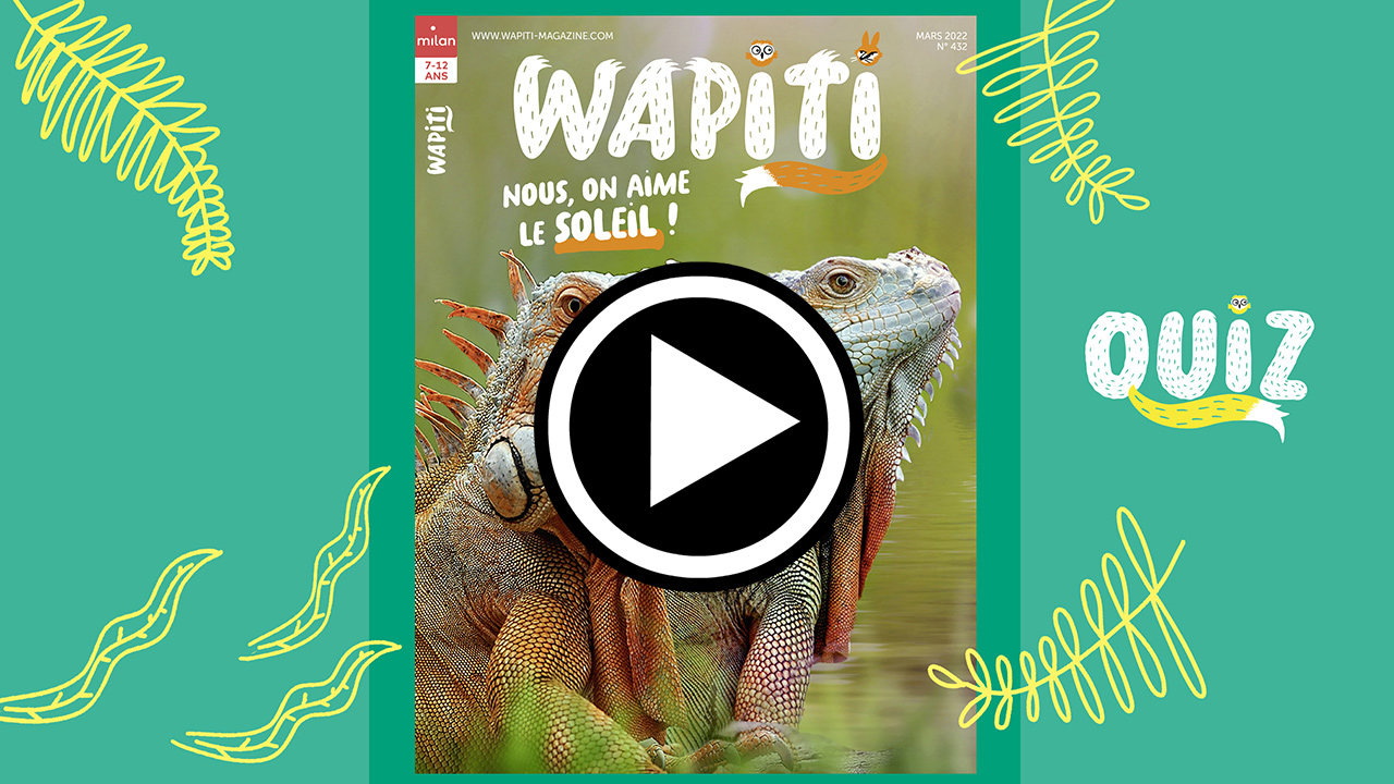 Quiz wapiti- Wapiti magazine