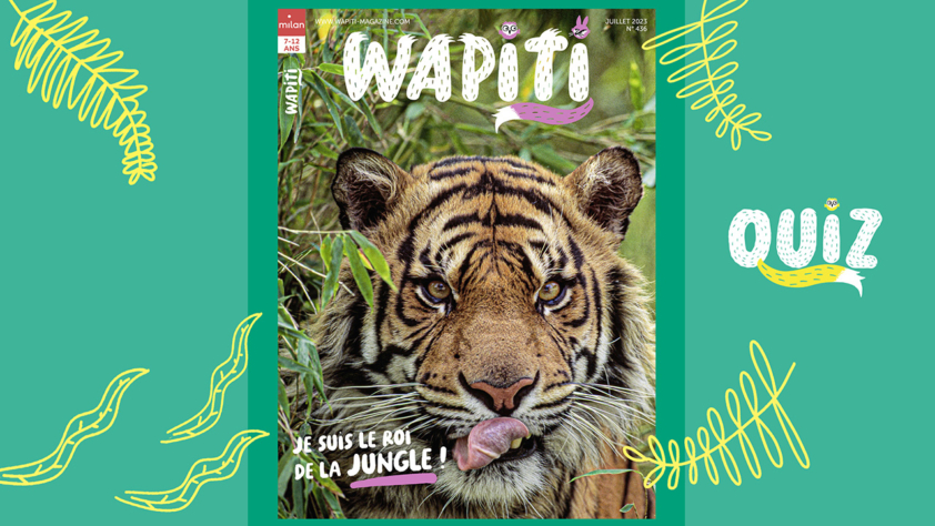 Quiz wapiti- Wapiti magazine - wapiquiz animaux