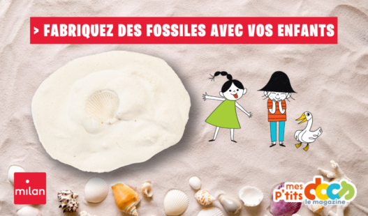Bricolage mes ptits docs fossile coquillage